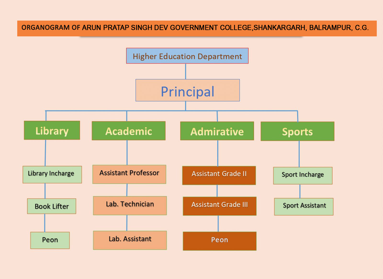 Organogram
